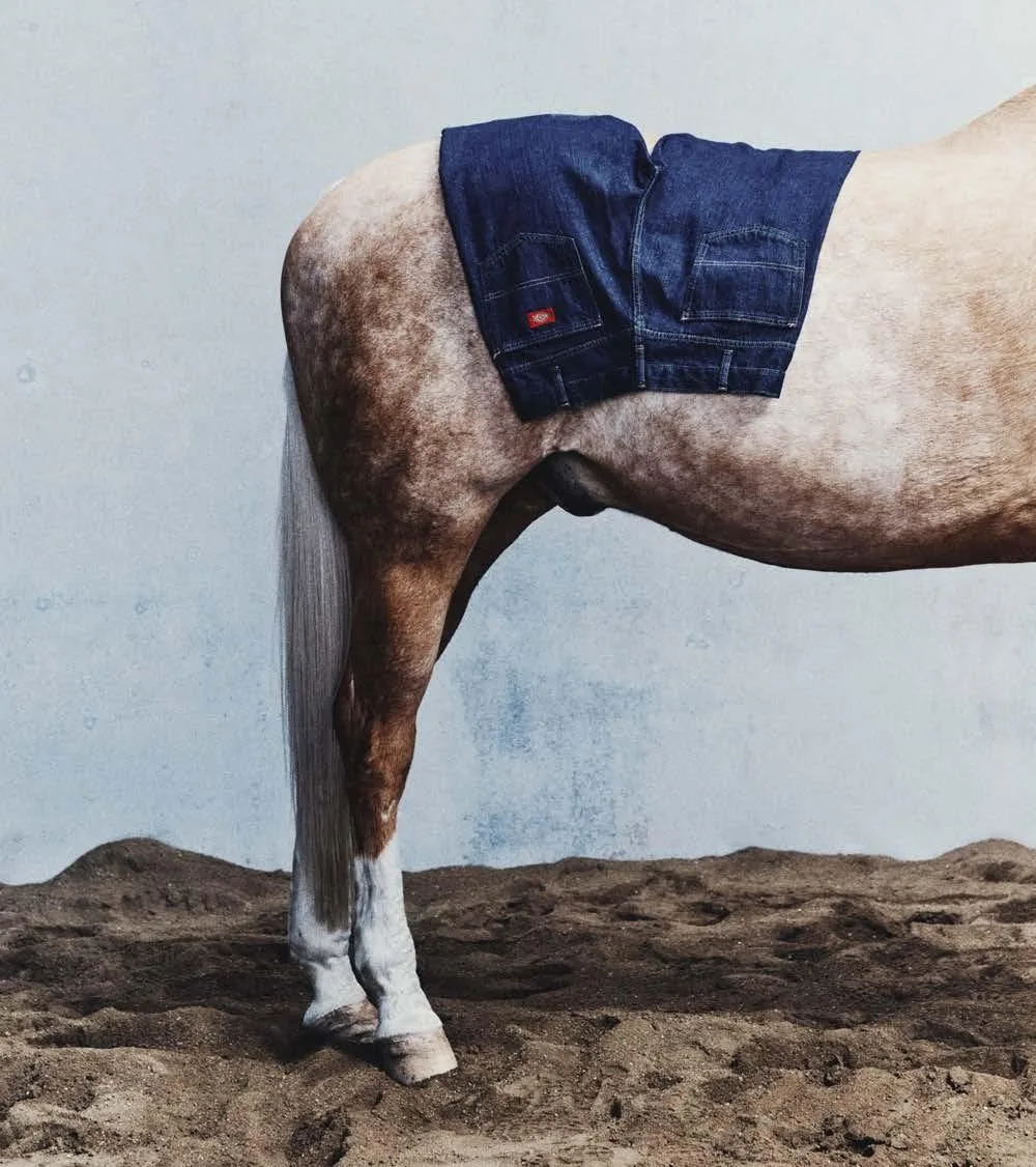 Dark indigo Dickies work trousers draped over the back of a palomino horse against a pale wall